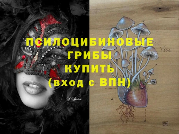 твердый Алексин